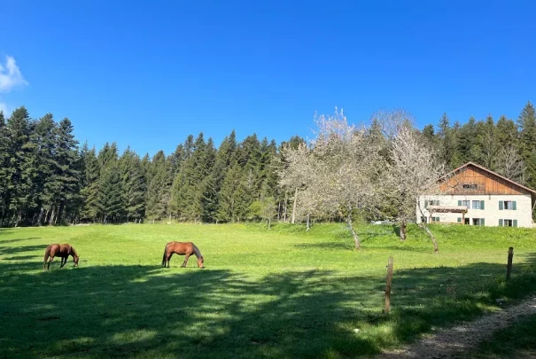 gites à Plaimbois du miroir 25120